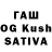 Галлюциногенные грибы Cubensis Samez Korshun