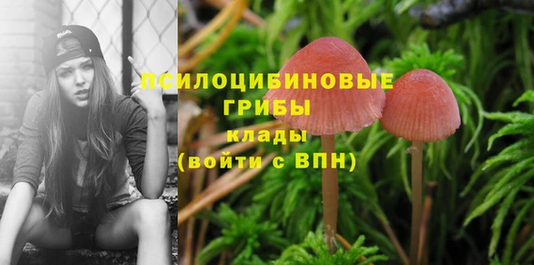 дживик Белокуриха