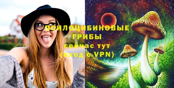 амф Балахна