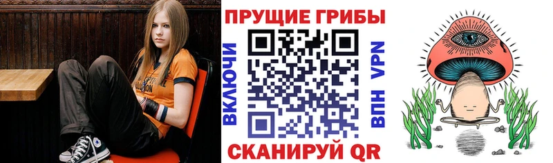 Галлюциногенные грибы Psilocybine cubensis  купить наркотик  Кодинск 